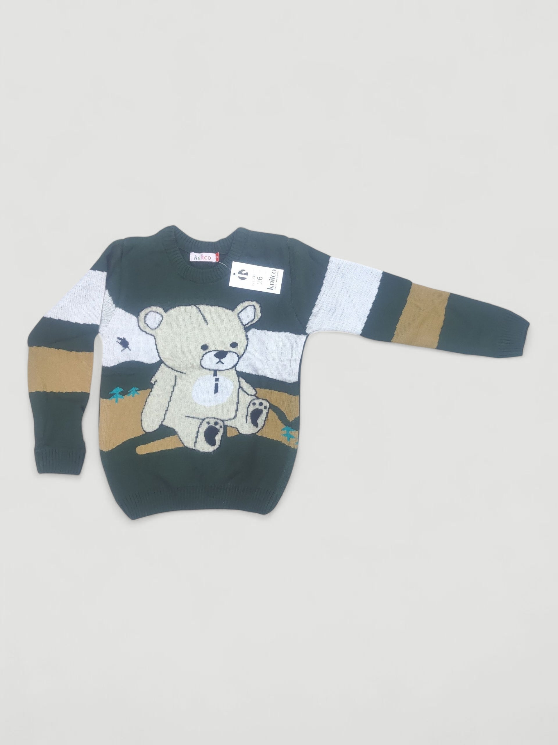 PI 26CM 2 SWEATAR 9 to 12 Months PI 26CM 2 SWEATAR 9 to 12 Months